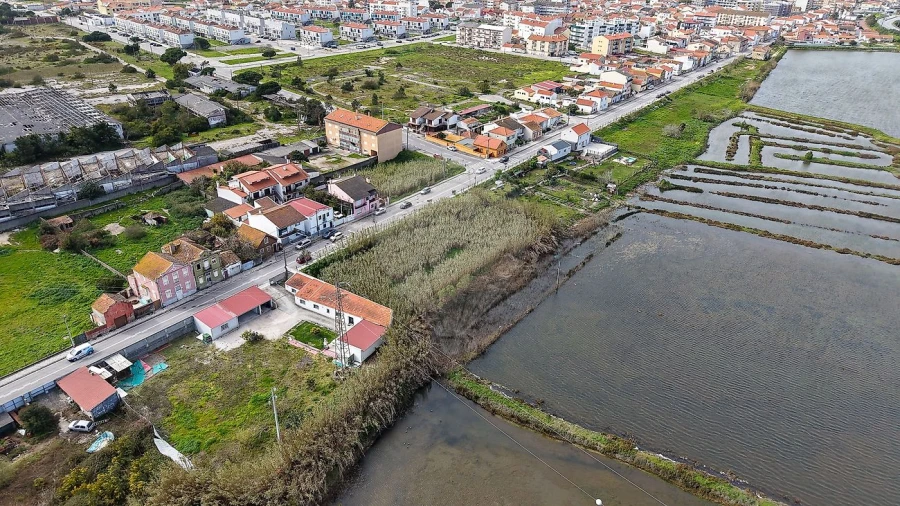 Terreno para Venda em São Pedro Foto 11