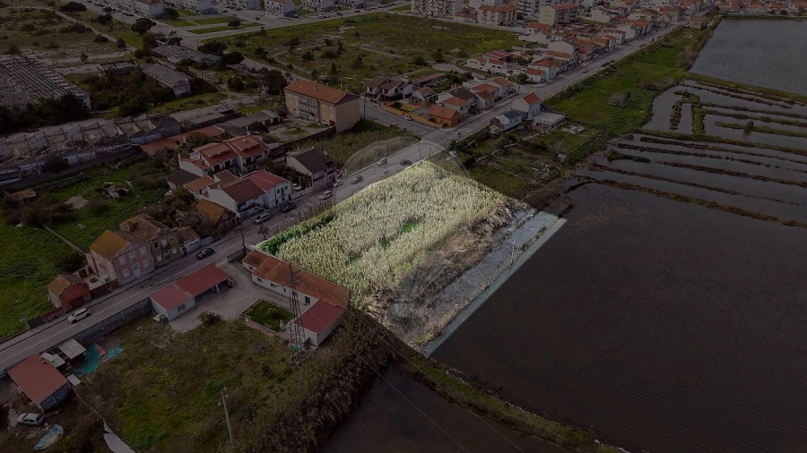 Terreno para Venda em São Pedro Foto 10