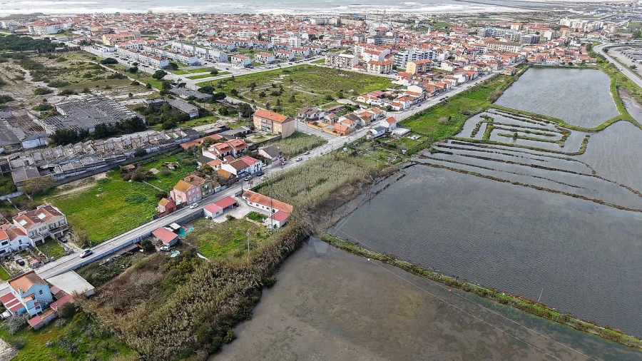 Terreno para Venda em São Pedro Foto 8
