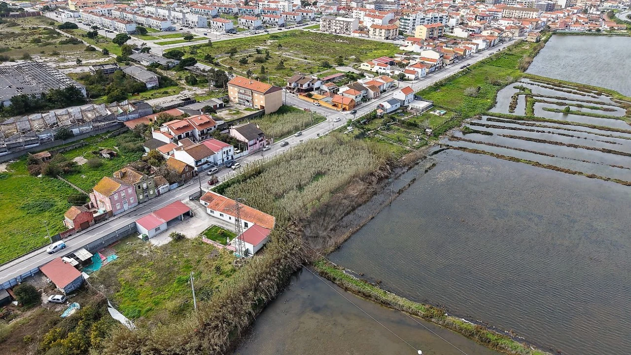 Terreno para Venda em São Pedro Foto 11