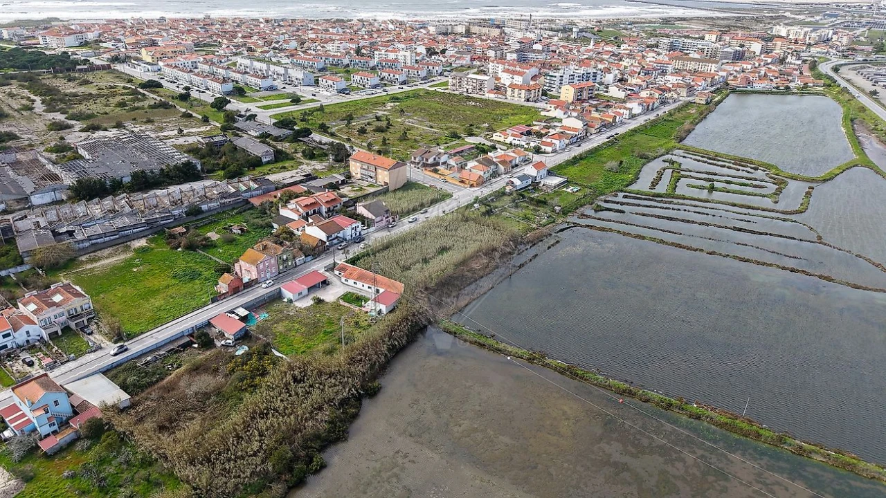 Terreno para Venda em São Pedro Foto 8