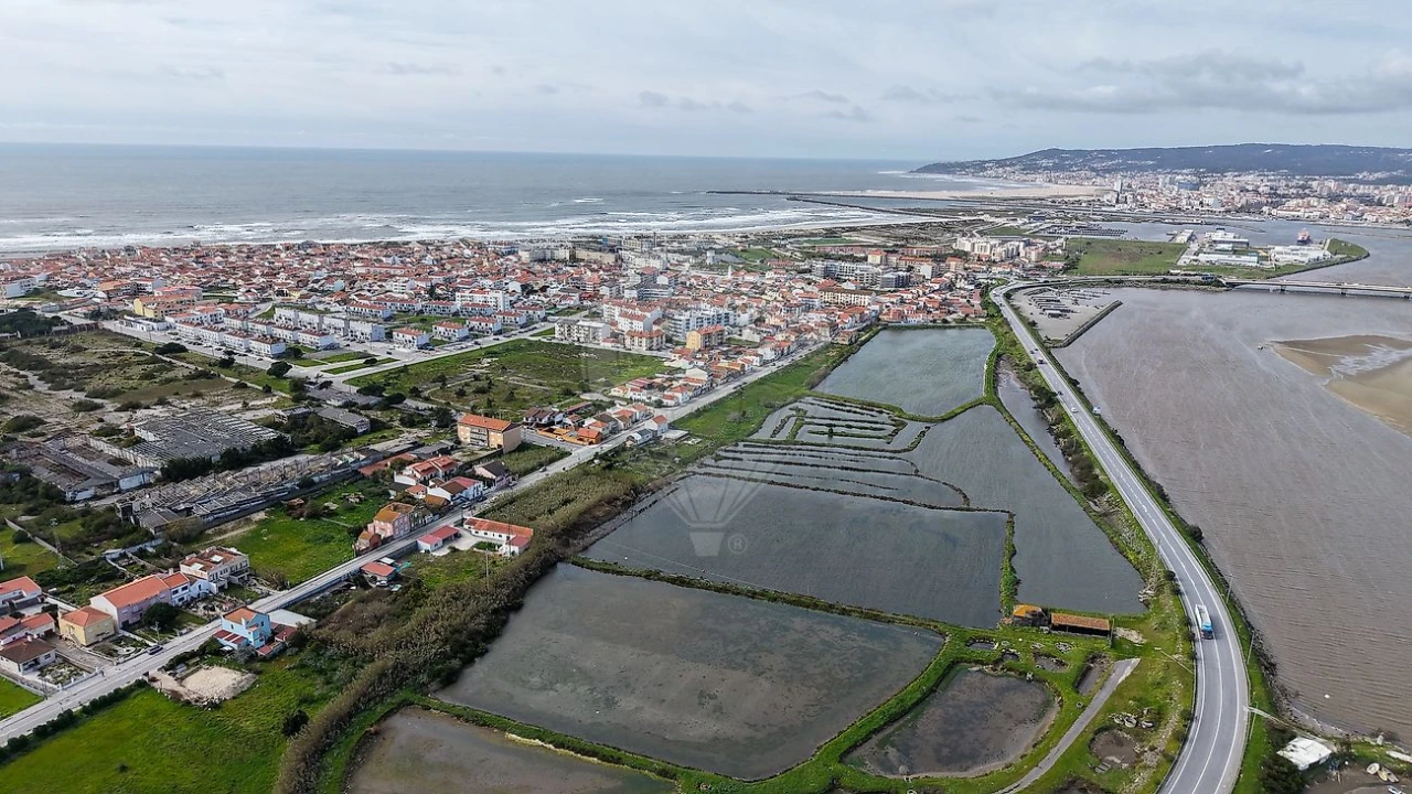 Terreno para Venda em São Pedro Foto 6