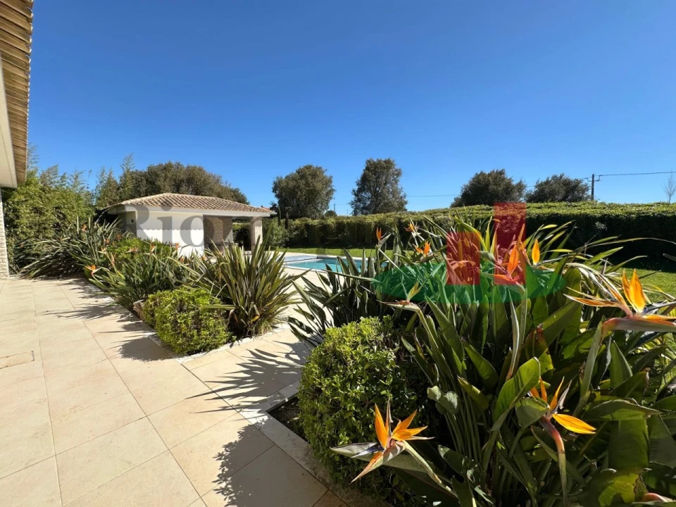 Moradia T3 para Venda em Carvalhal Foto 4