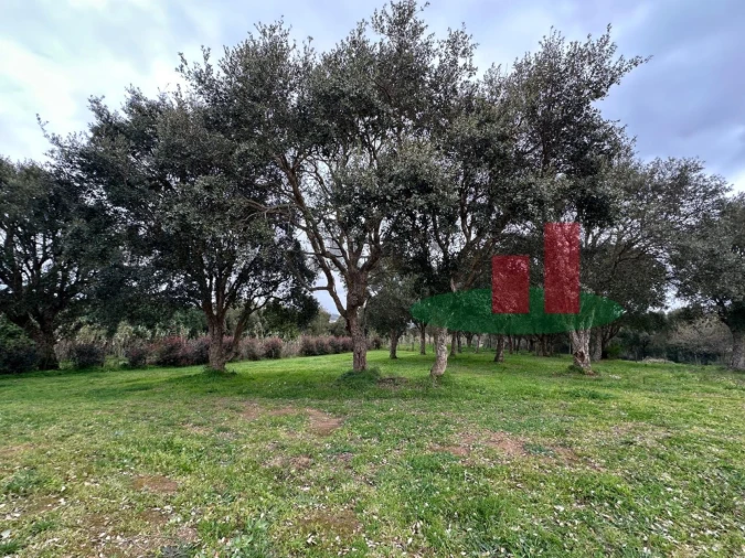 Moradia T3 para Venda em Carvalhal Foto 9