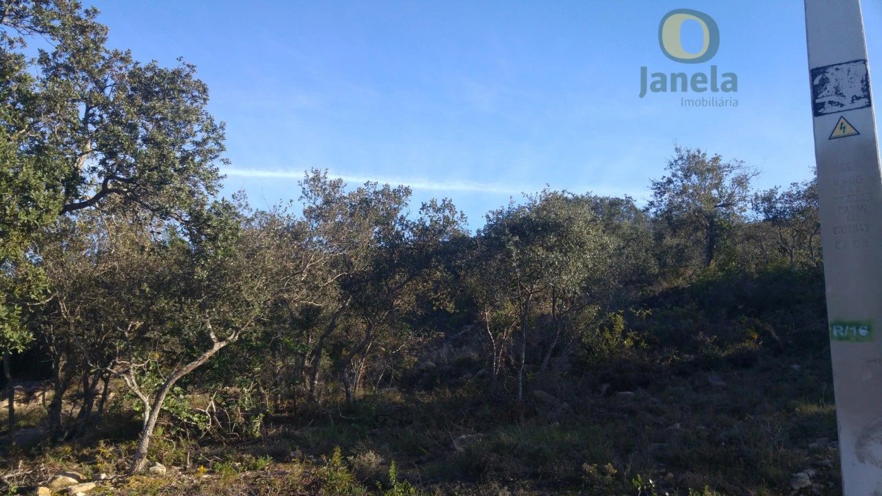 Terreno Agricola ou Rústico para Venda em Conceição e Estoi Foto 3