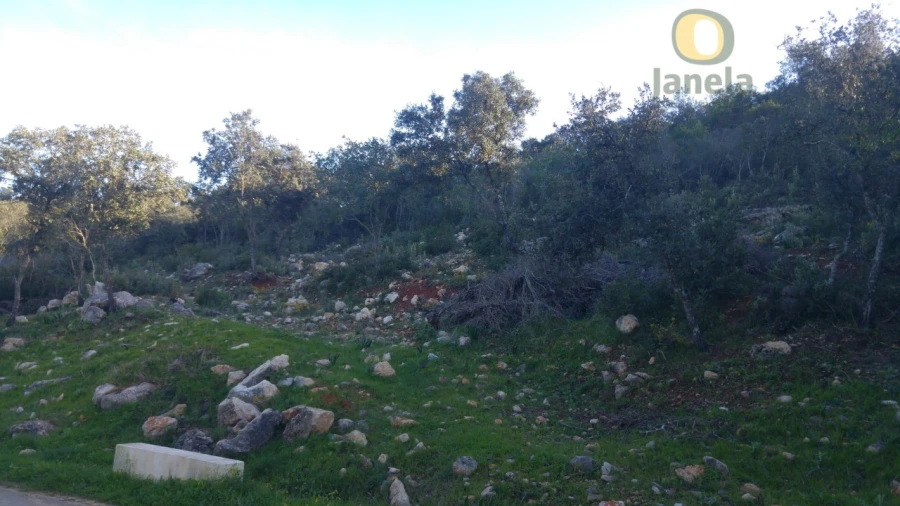 Terreno Agricola ou Rústico para Venda em Conceição e Estoi Foto 2