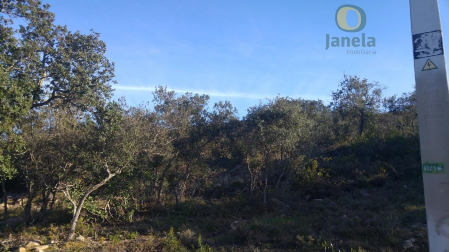 Terreno Agricola ou Rústico para Venda em Conceição e Estoi Foto 3
