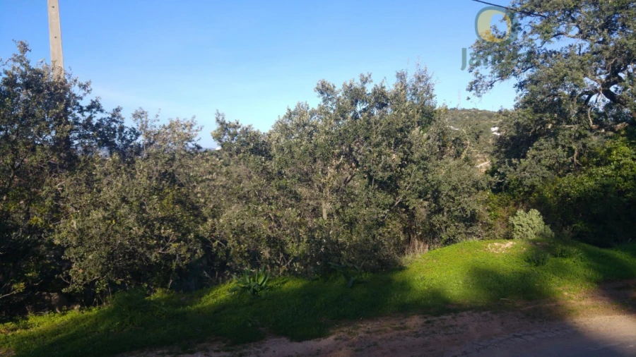 Terreno Agricola ou Rústico para Venda em Conceição e Estoi Foto 4