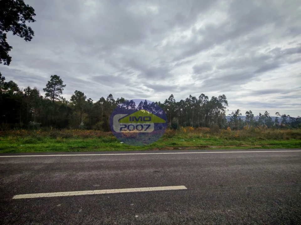Terreno para Venda em Lobão, Gião, Louredo e Guisande Foto 2
