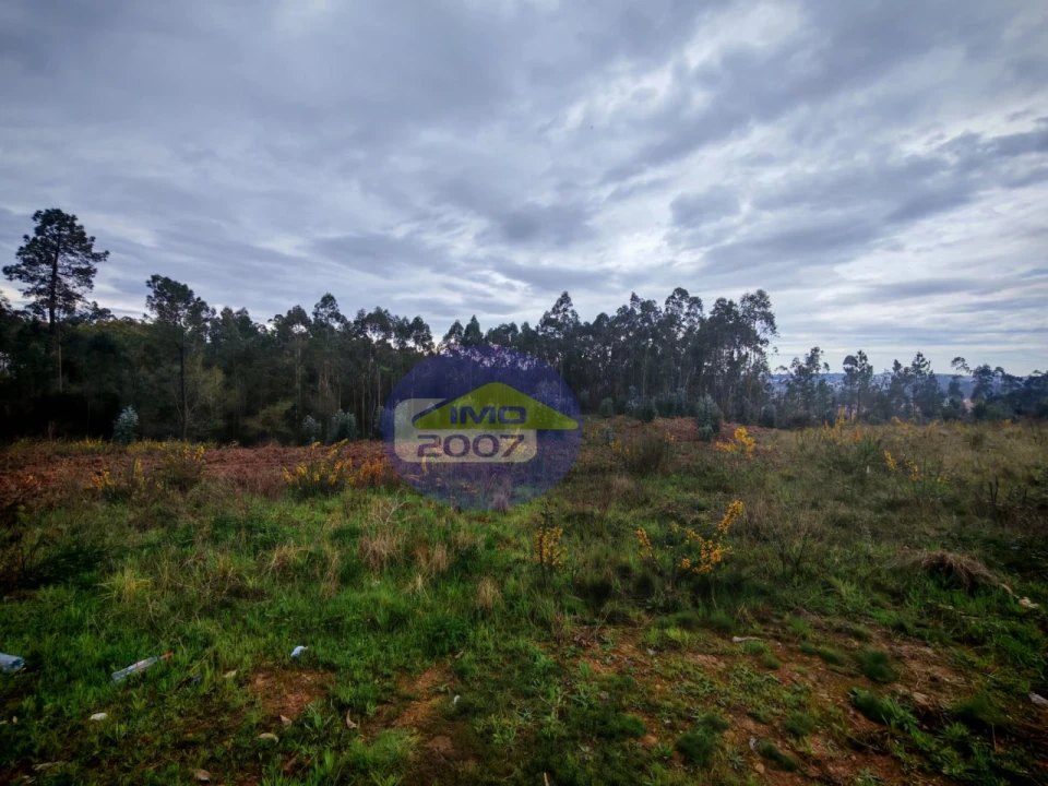 Terreno para Venda em Lobão, Gião, Louredo e Guisande Foto 8