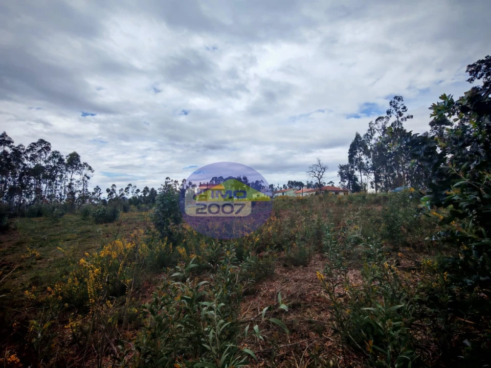 Terreno para Venda em Lobão, Gião, Louredo e Guisande Foto 21