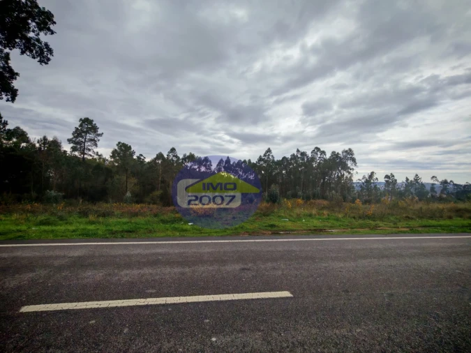 Terreno para Venda em Lobão, Gião, Louredo e Guisande Foto 2