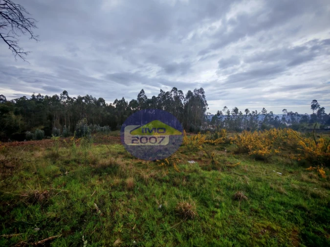 Terreno para Venda em Lobão, Gião, Louredo e Guisande Foto 3