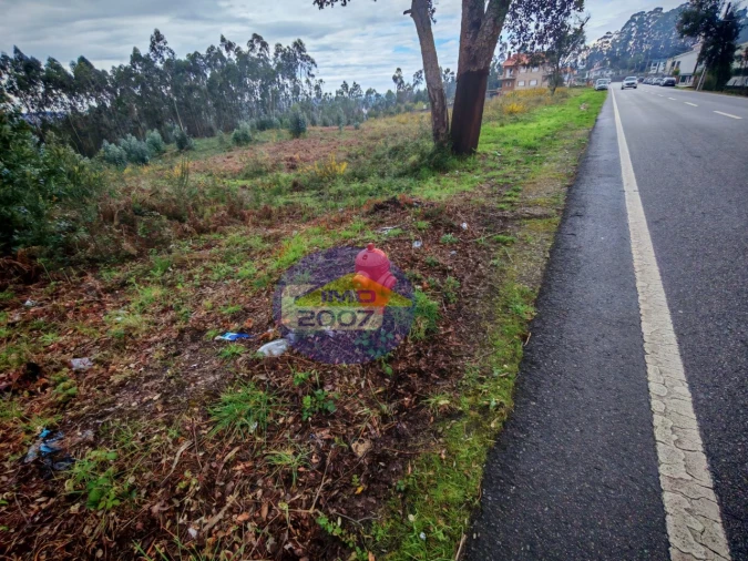 Terreno para Venda em Lobão, Gião, Louredo e Guisande Foto 12