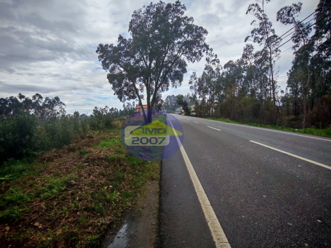 Terreno para Venda em Lobão, Gião, Louredo e Guisande Foto 13