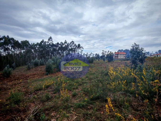 Terreno para Venda em Lobão, Gião, Louredo e Guisande Foto 17