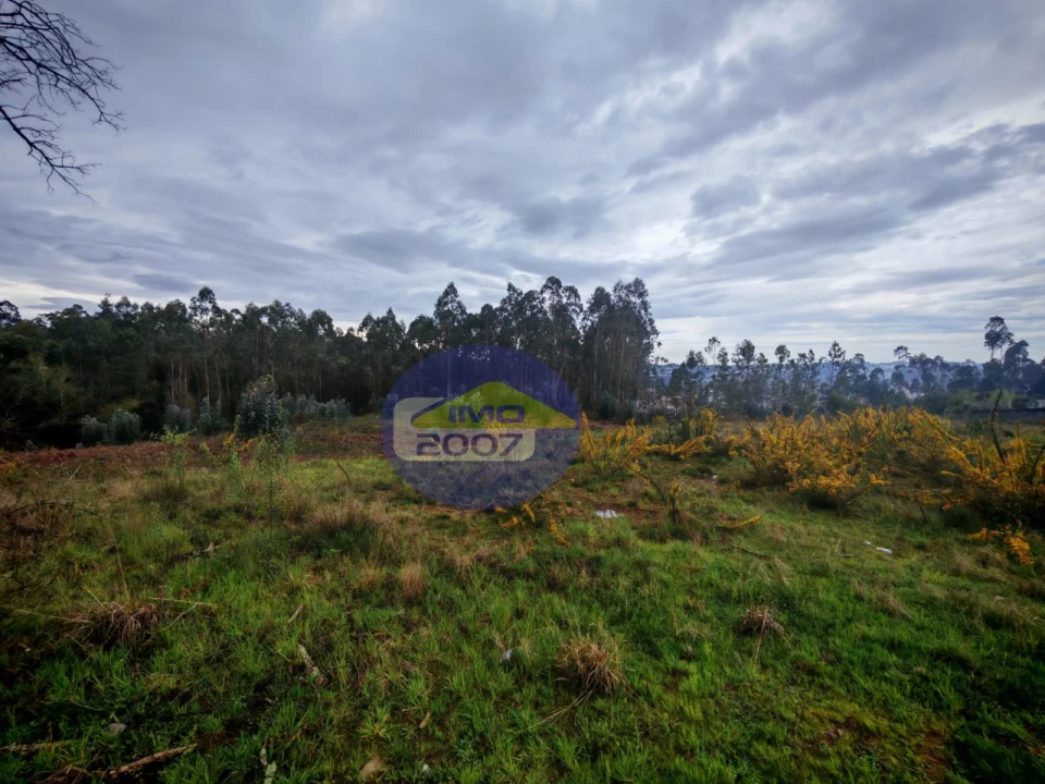 Terreno para Venda em Lobão, Gião, Louredo e Guisande Foto 2