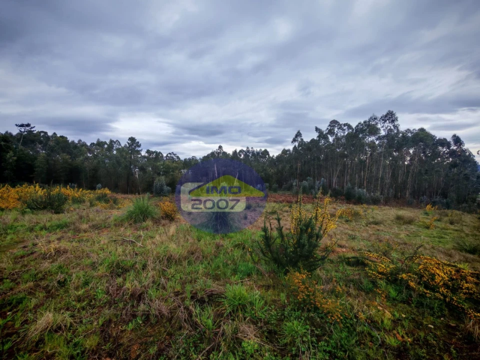 Terreno para Venda em Lobão, Gião, Louredo e Guisande Foto 4