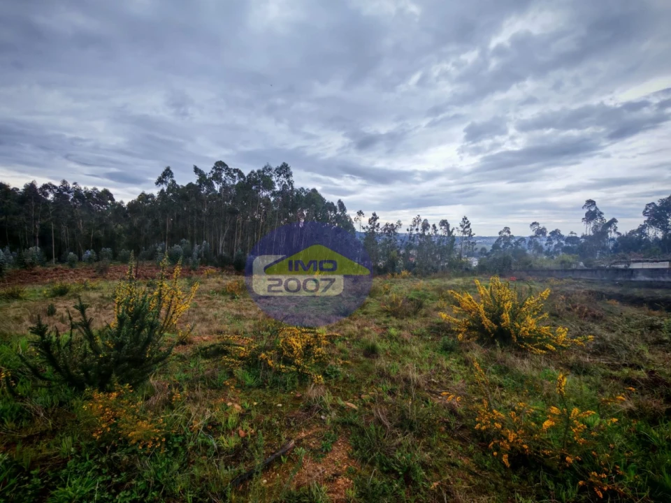 Terreno para Venda em Lobão, Gião, Louredo e Guisande Foto 5