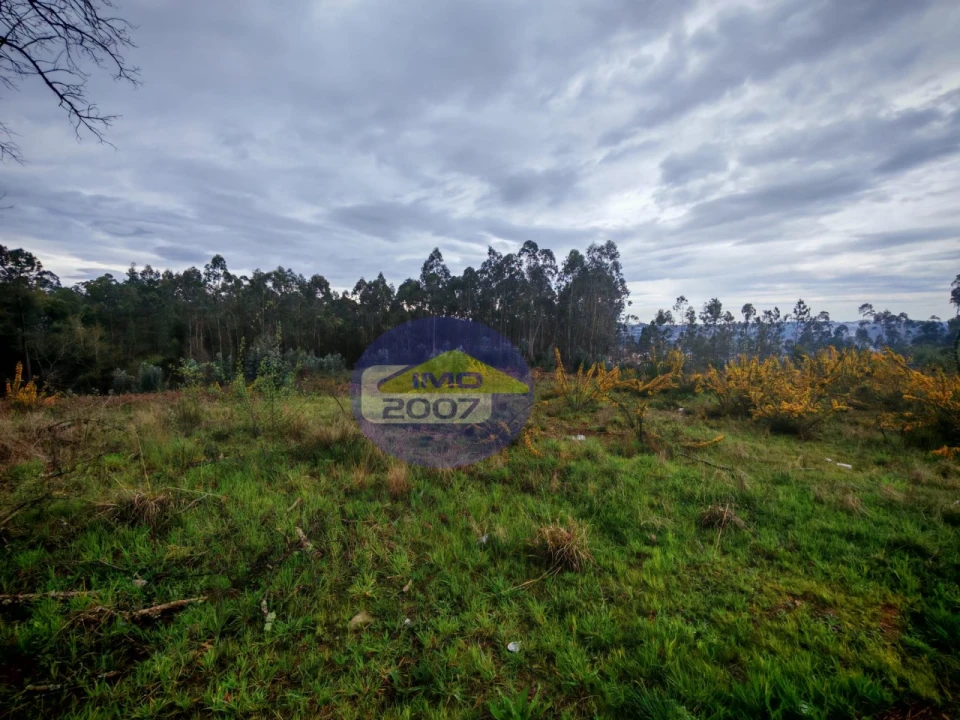 Terreno para Venda em Lobão, Gião, Louredo e Guisande Foto 8