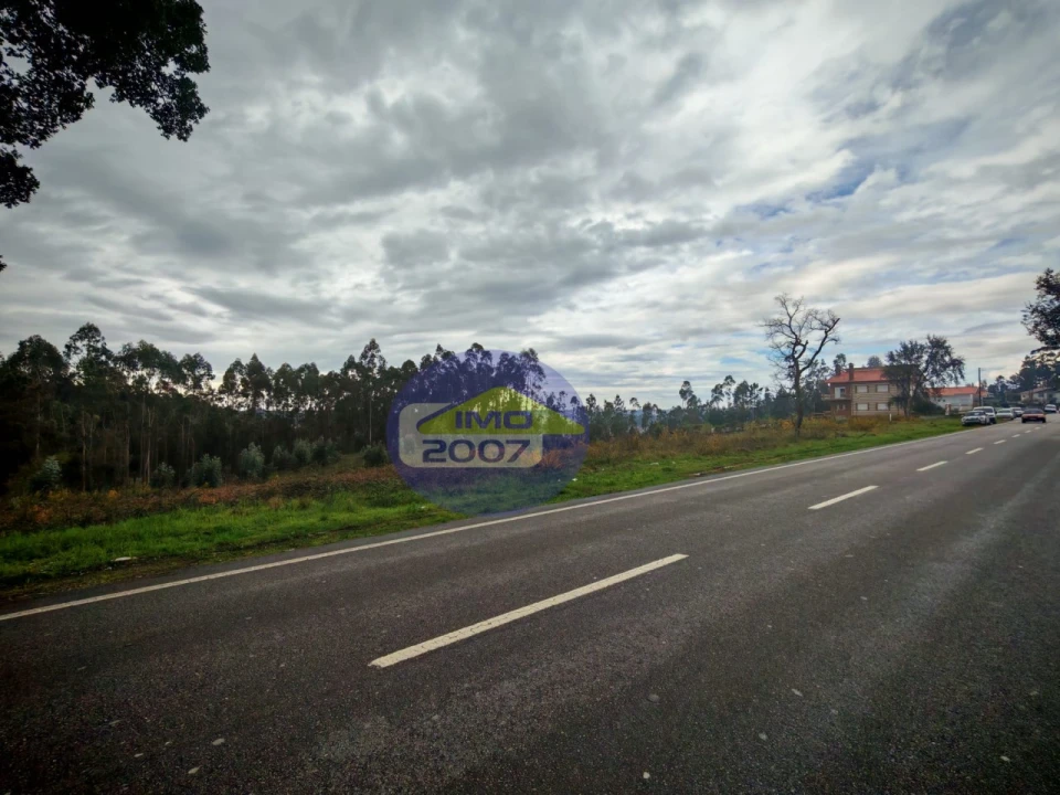 Terreno para Venda em Lobão, Gião, Louredo e Guisande Foto 9