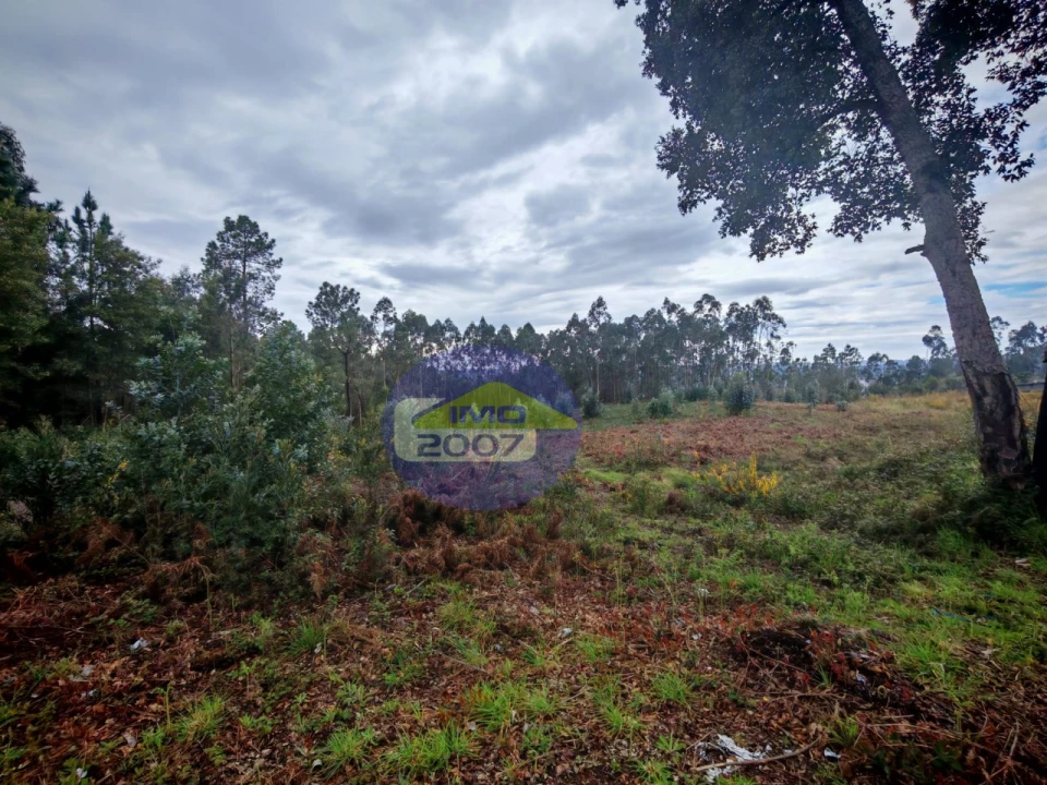 Terreno para Venda em Lobão, Gião, Louredo e Guisande Foto 10