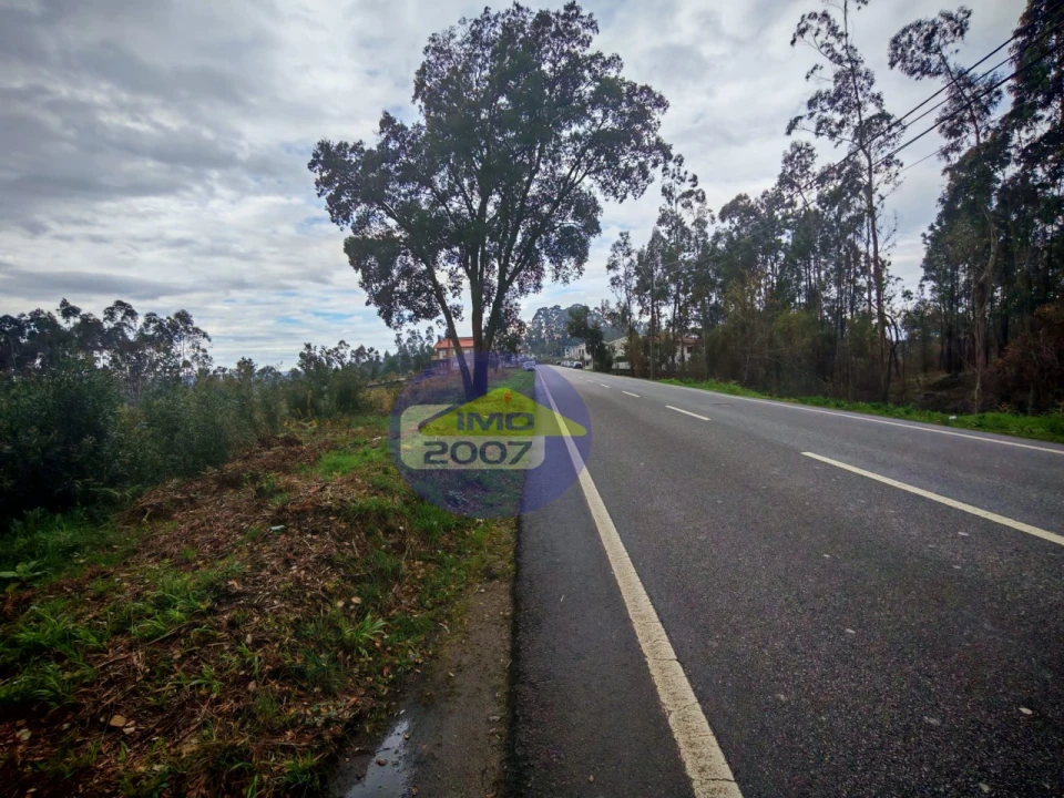 Terreno para Venda em Lobão, Gião, Louredo e Guisande Foto 12