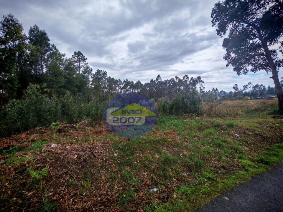 Terreno para Venda em Lobão, Gião, Louredo e Guisande Foto 15
