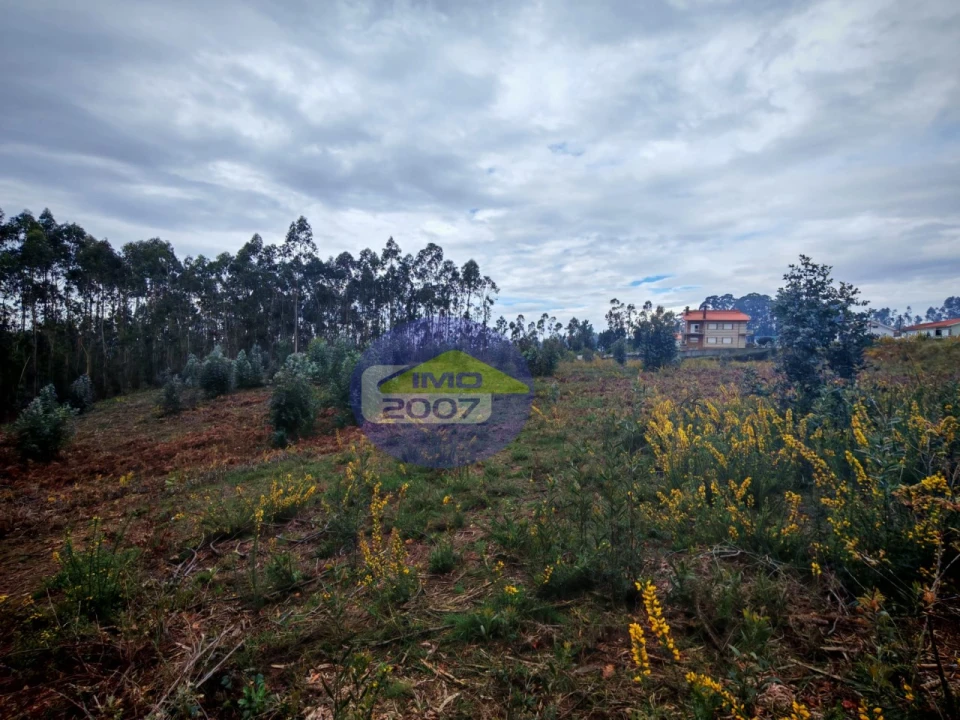 Terreno para Venda em Lobão, Gião, Louredo e Guisande Foto 16