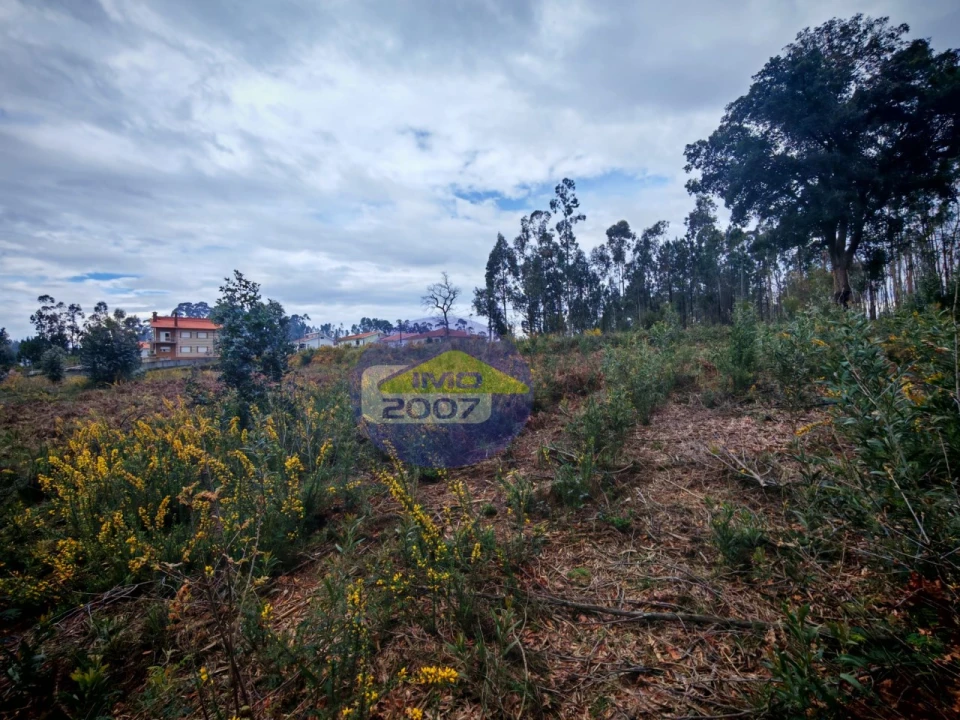 Terreno para Venda em Lobão, Gião, Louredo e Guisande Foto 18