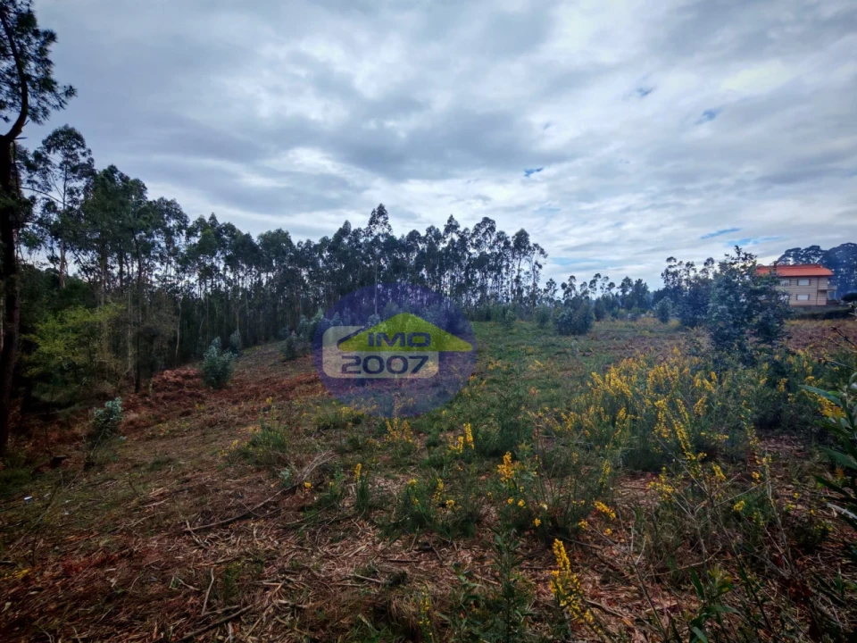 Terreno para Venda em Lobão, Gião, Louredo e Guisande Foto 19