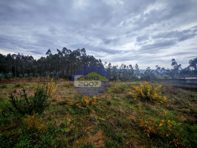 Terreno para Venda em Lobão, Gião, Louredo e Guisande Foto 5