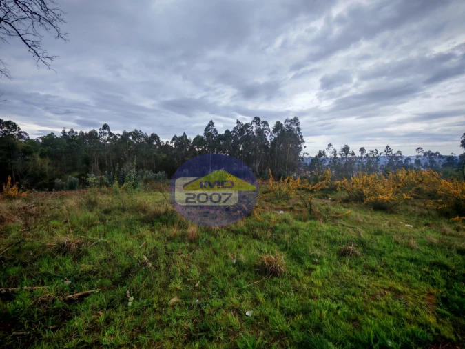 Terreno para Venda em Lobão, Gião, Louredo e Guisande Foto 8