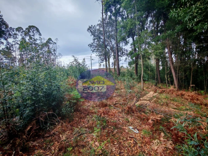Terreno para Venda em Lobão, Gião, Louredo e Guisande Foto 14