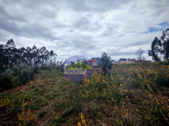 Terreno para Venda em Lobão, Gião, Louredo e Guisande Foto 17