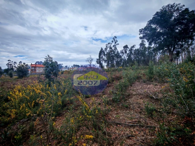 Terreno para Venda em Lobão, Gião, Louredo e Guisande Foto 18