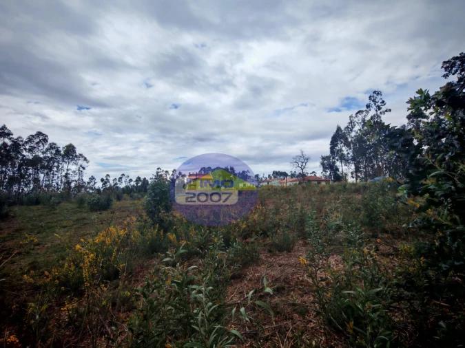 Terreno para Venda em Lobão, Gião, Louredo e Guisande Foto 20