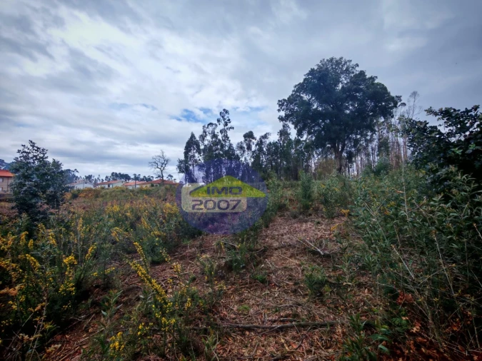 Terreno para Venda em Lobão, Gião, Louredo e Guisande Foto 21