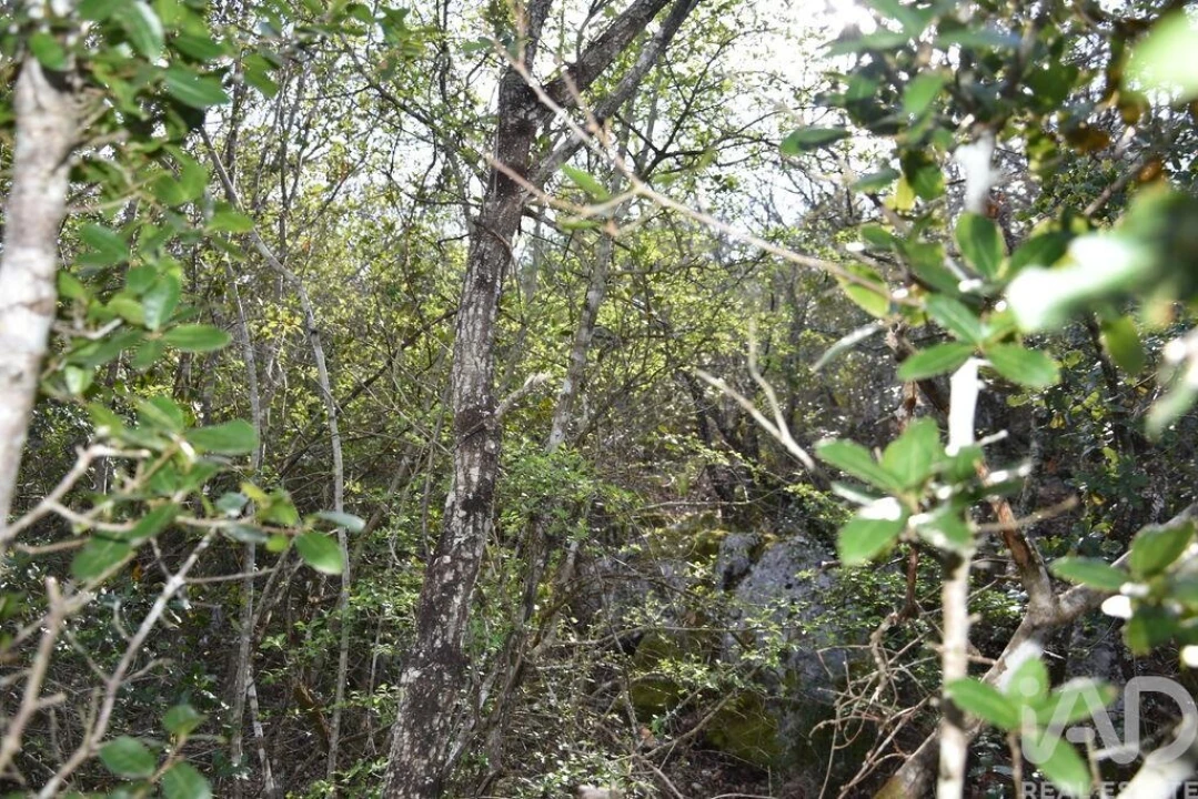 Terreno para Venda em Chãos Foto 7