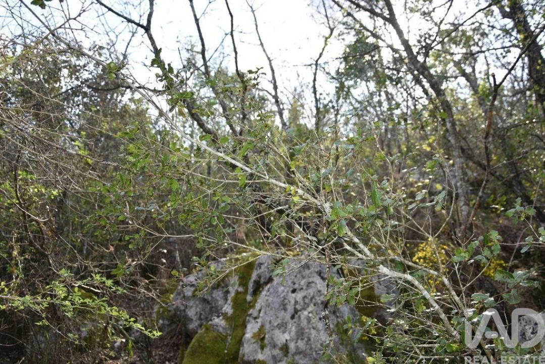 Terreno para Venda em Chãos Foto 24