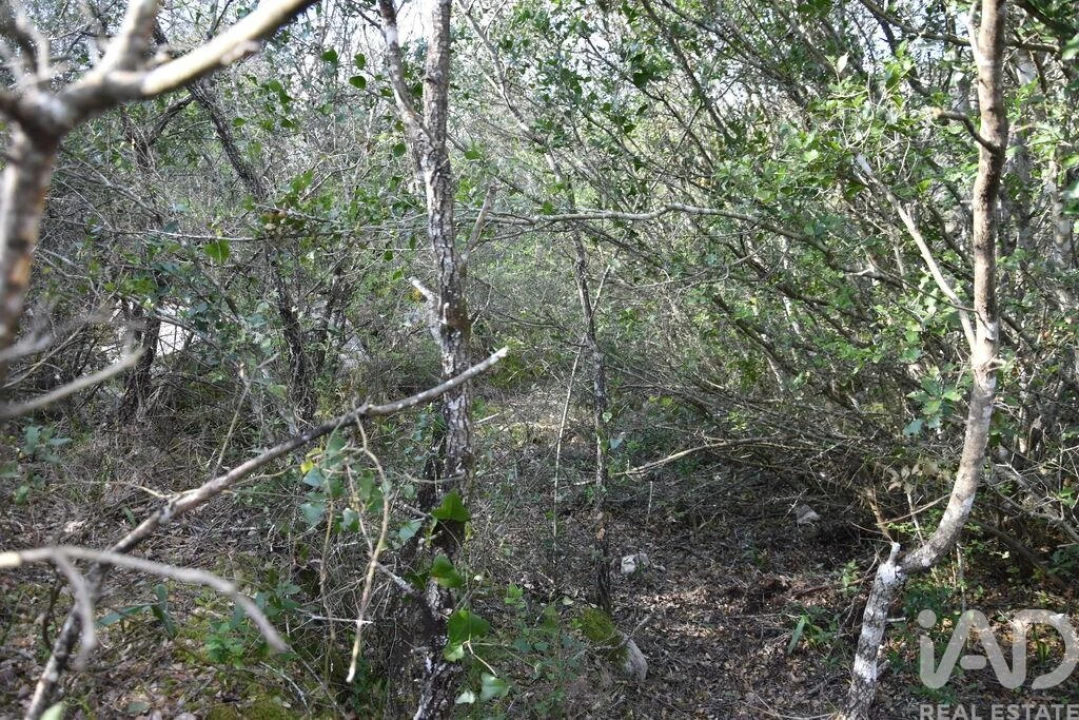 Terreno para Venda em Chãos Foto 22