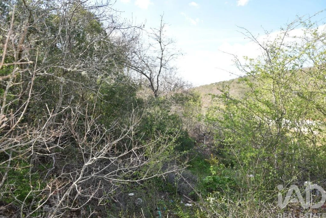 Terreno para Venda em Chãos Foto 8