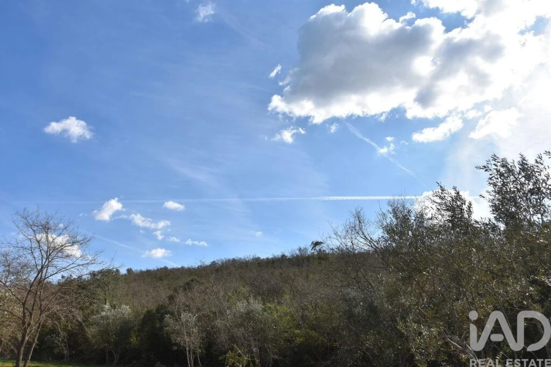 Terreno para Venda em Chãos Foto 2