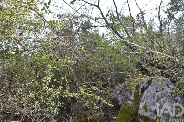Terreno para Venda em Chãos Foto 12
