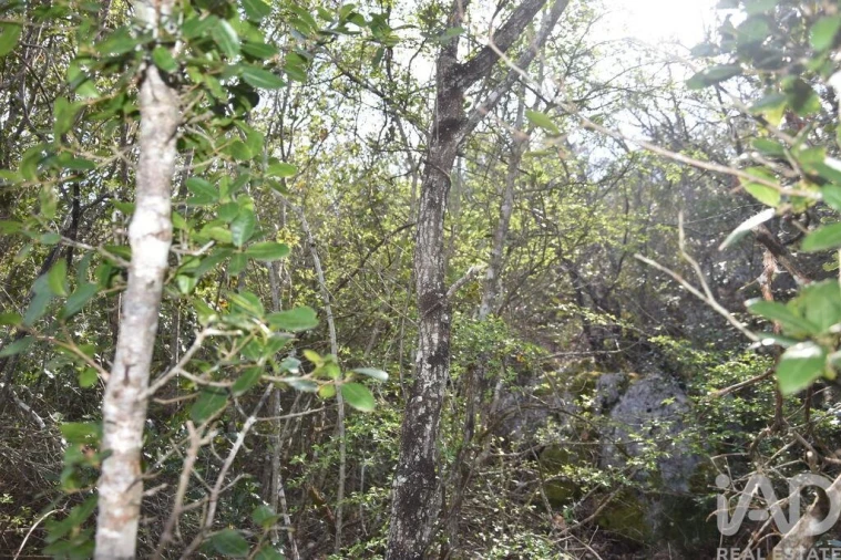 Terreno para Venda em Chãos Foto 25