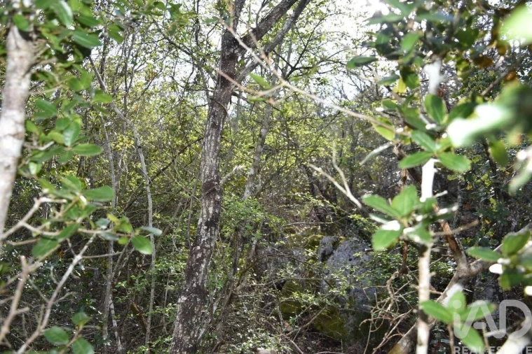 Terreno para Venda em Chãos Foto 7