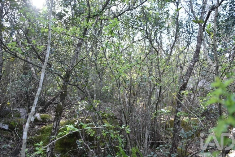 Terreno para Venda em Chãos Foto 10
