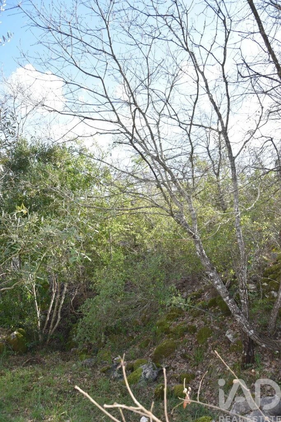 Terreno para Venda em Chãos Foto 17