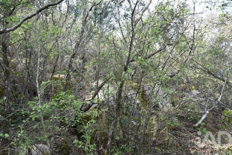 Terreno para Venda em Chãos Foto 11