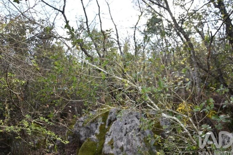 Terreno para Venda em Chãos Foto 24